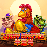 RTP joker  winnerplay789